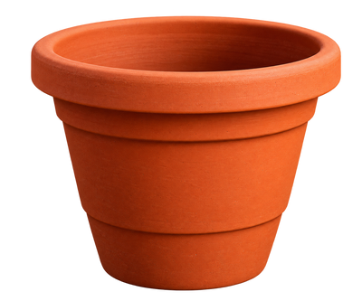 POTS