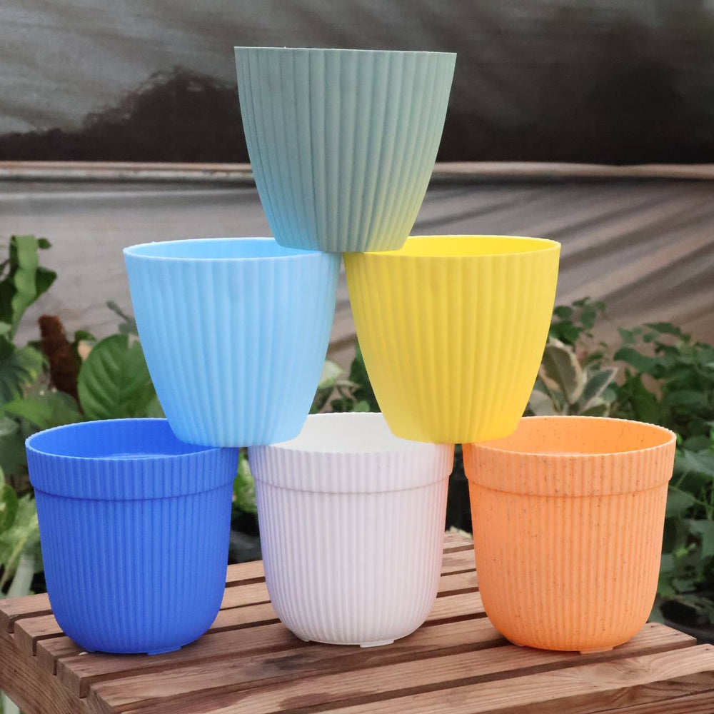 Colorful Round Pot Small Size (Set Of 6)
