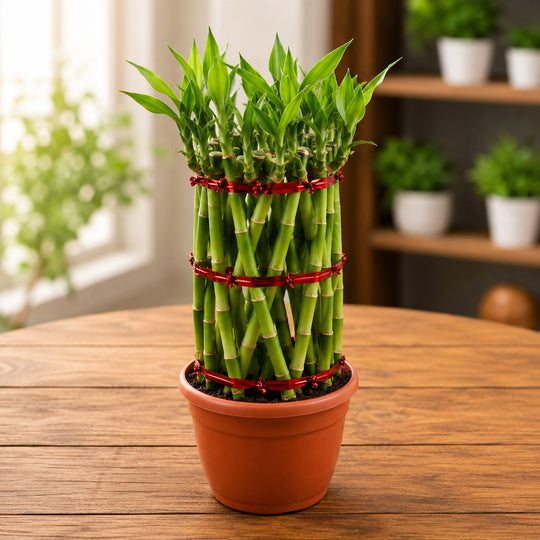 Pineapple shape bamboo