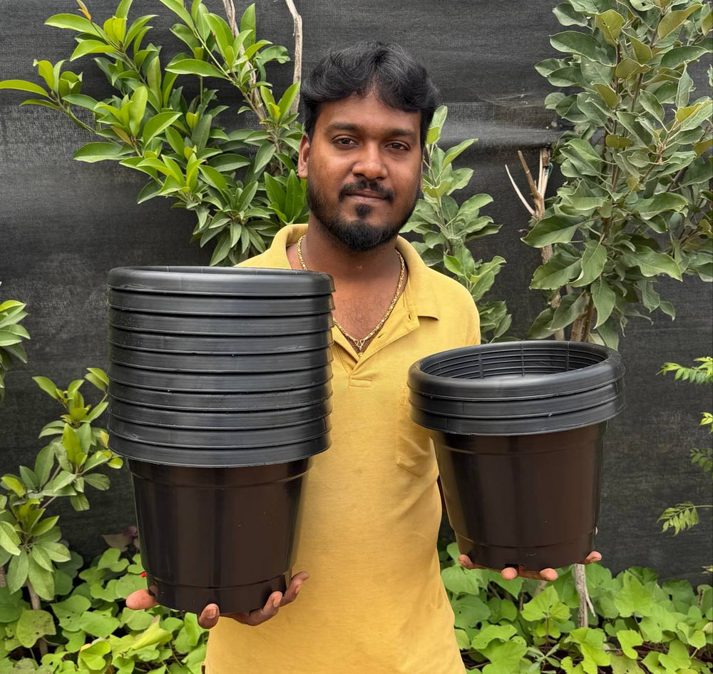 10 inches pots offer ( buy 10 get 3 pot free ) extra 8 inches 3 pot free =16 pots total
