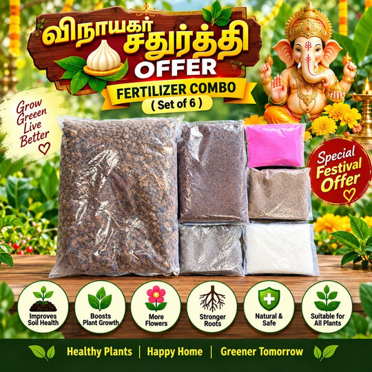 Plant care fertilizer – Pasumai Thottakalai