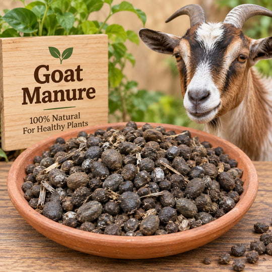 ஆட்டுச் சாண உரம் / Goat manure ( 5 kg )