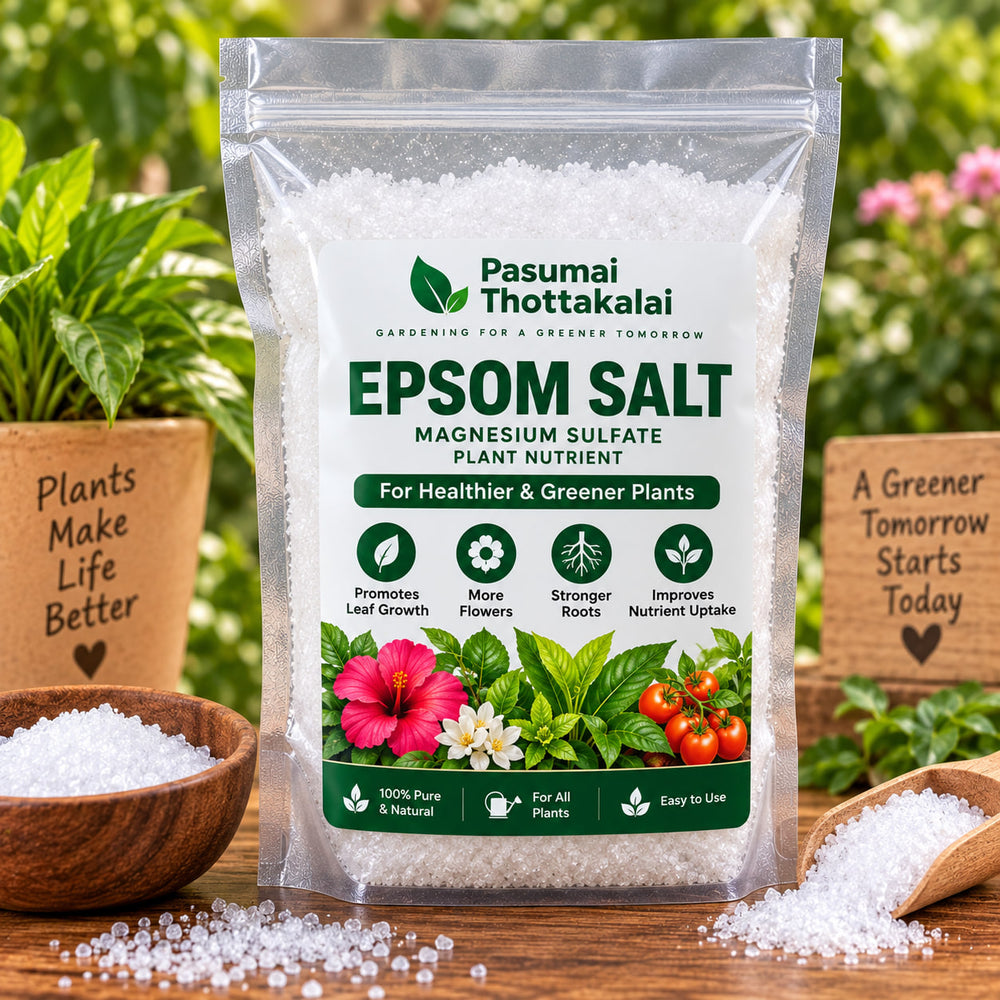 EPSOM SALT ( 500 gm )
