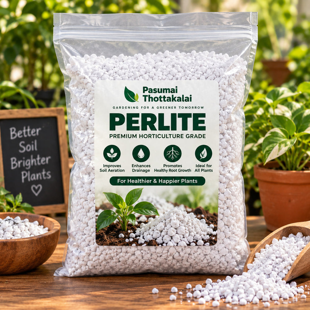 Perlite 1 kg