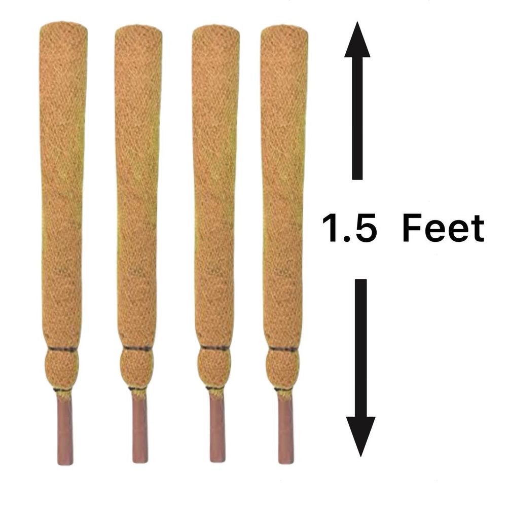 Coir Stick/Coco Pole for Climbing Indoor Plants (Set of 4)