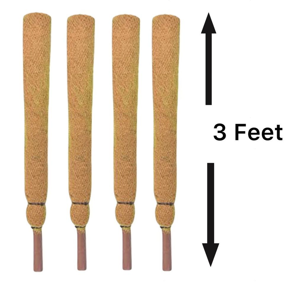 Coir Stick/Coco Pole for Climbing Indoor Plants (Set of 4)