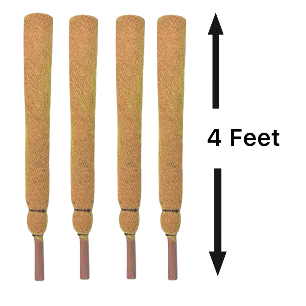 Coir Stick/Coco Pole for Climbing Indoor Plants (Set of 4)