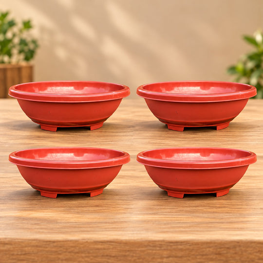 BONSAI POT OVAL SHAPE