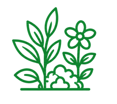 Wide Variety of Plants