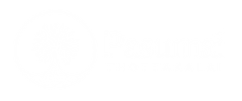 Pasumai Thottakalai