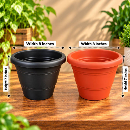 8 inches round pots
