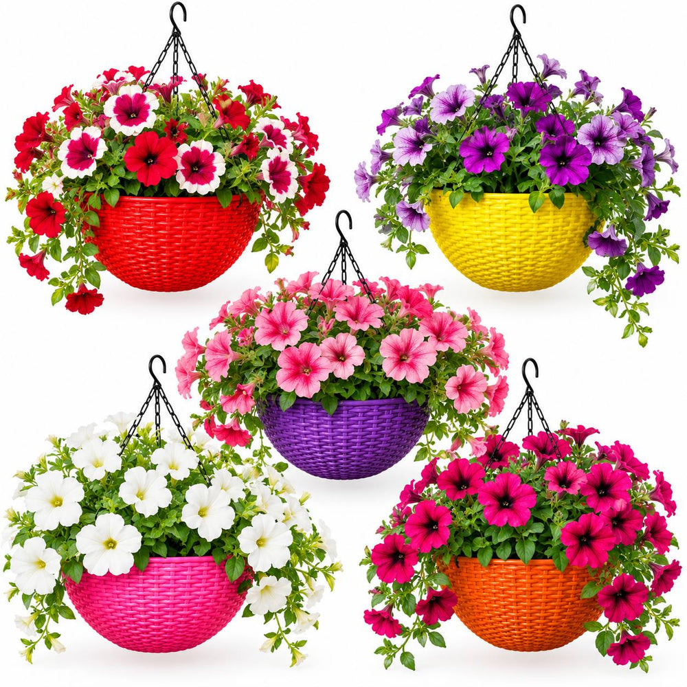 colour Hanging pot (set of 5 )