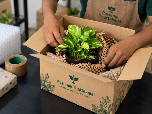 Secure Plant Holder