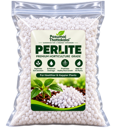 PLANT FERTILIZER