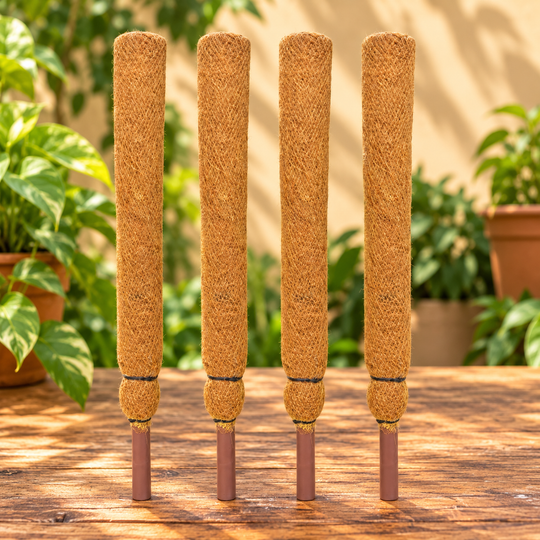 Coir Stick/Coco Pole for Climbing Indoor Plants (Set of 4)